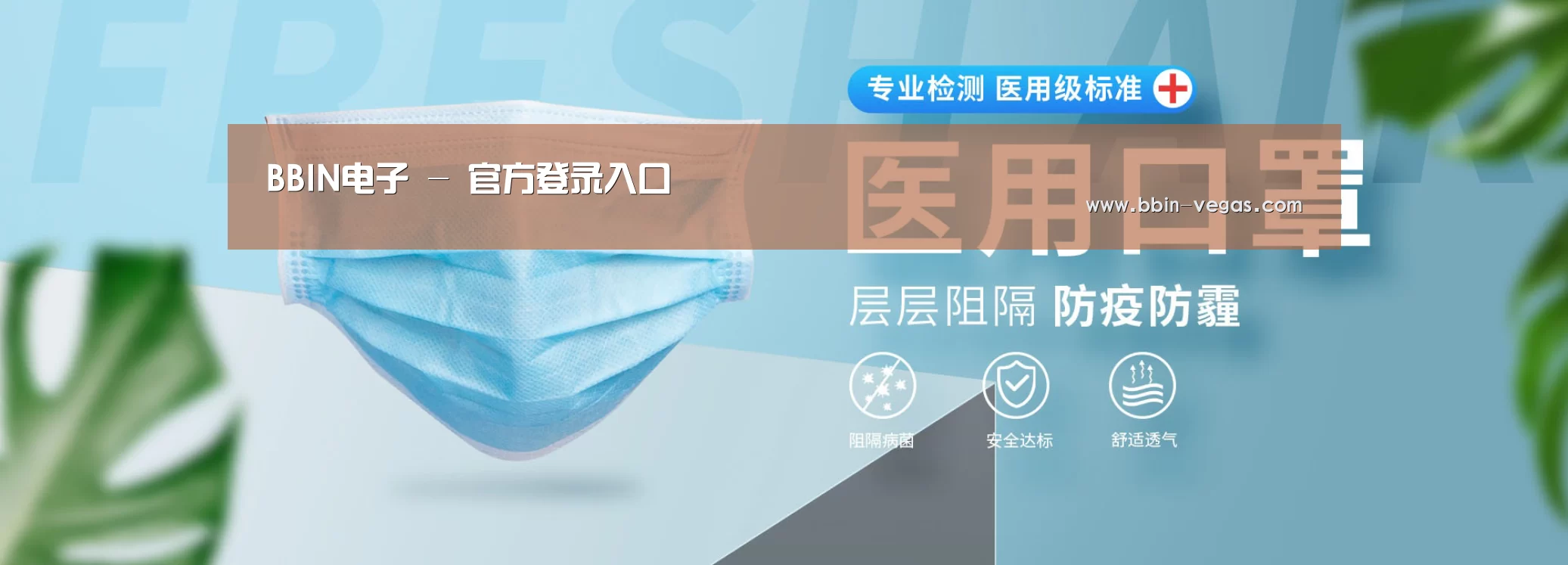某某口罩防护用品有限公司