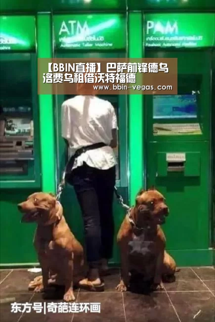 BBIN入口