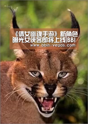 《倩女幽魂手游》新角色曝光女侠客即将上线|BBIN官网