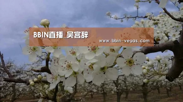 BBIN直播_吴宫辞